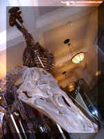 Dino 3.jpg (92257 bytes)
